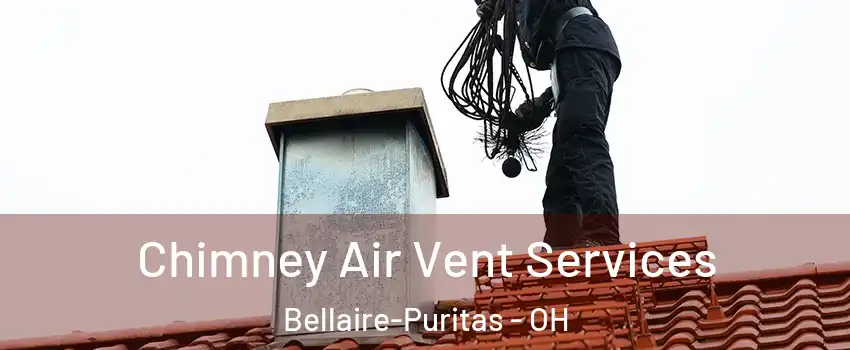 Chimney Air Vent Services Bellaire-Puritas - OH