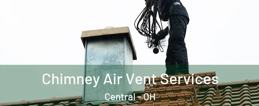 Chimney Air Vent Services Central - OH