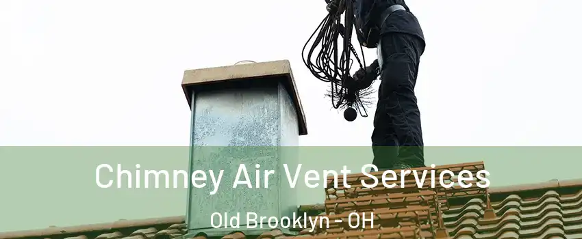 Chimney Air Vent Services Old Brooklyn - OH