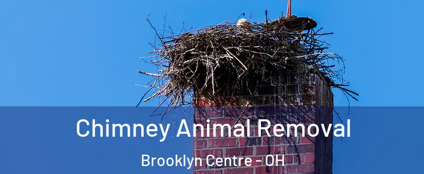 Chimney Animal Removal Brooklyn Centre - OH