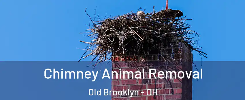 Chimney Animal Removal Old Brooklyn - OH
