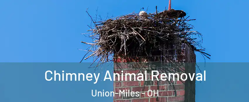 Chimney Animal Removal Union-Miles - OH