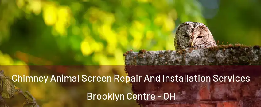 Chimney Animal Screen Repair And Installation Services Brooklyn Centre - OH