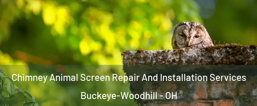Chimney Animal Screen Repair And Installation Services Buckeye-Woodhill - OH