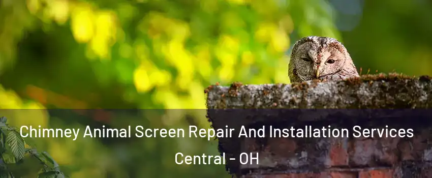 Chimney Animal Screen Repair And Installation Services Central - OH