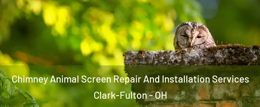 Chimney Animal Screen Repair And Installation Services Clark-Fulton - OH