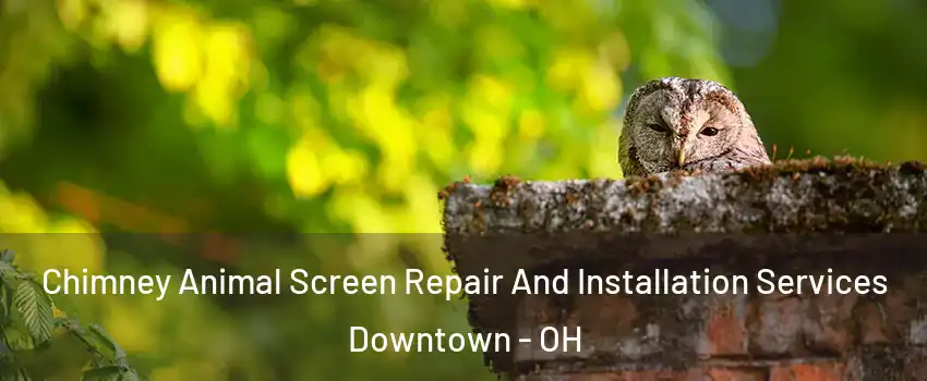 Chimney Animal Screen Repair And Installation Services Downtown - OH