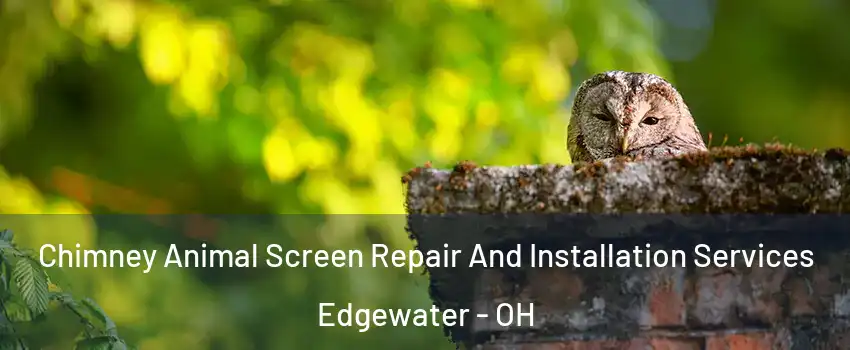 Chimney Animal Screen Repair And Installation Services Edgewater - OH