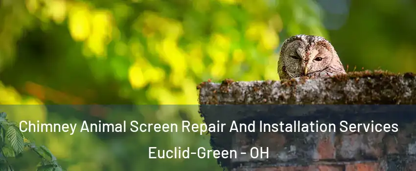 Chimney Animal Screen Repair And Installation Services Euclid-Green - OH