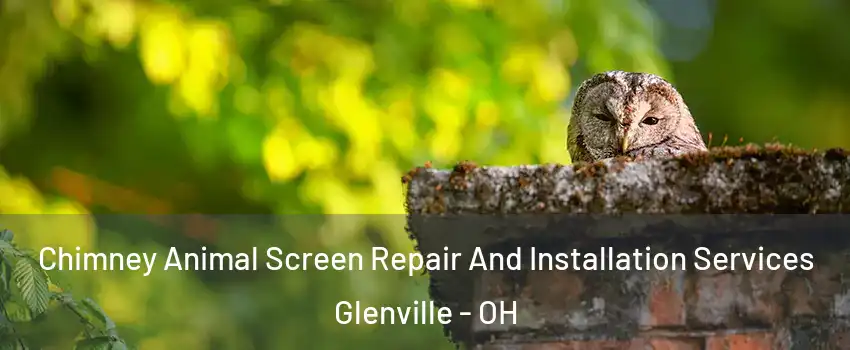 Chimney Animal Screen Repair And Installation Services Glenville - OH