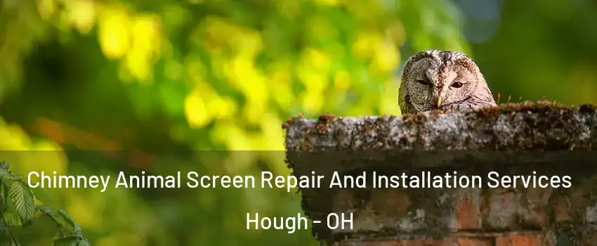Chimney Animal Screen Repair And Installation Services Hough - OH