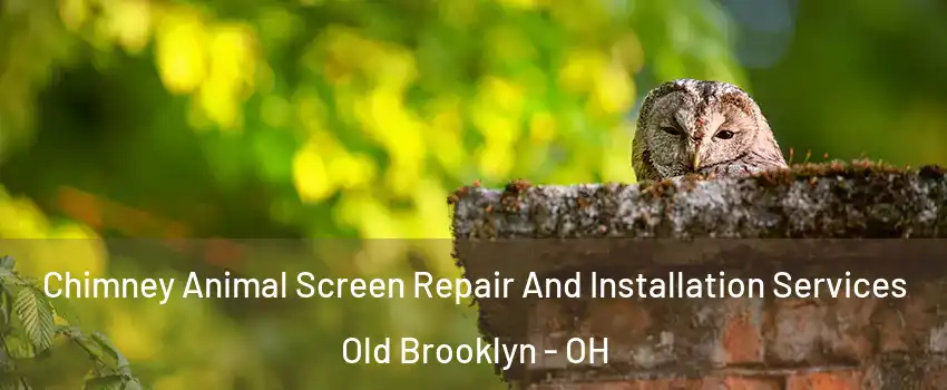 Chimney Animal Screen Repair And Installation Services Old Brooklyn - OH