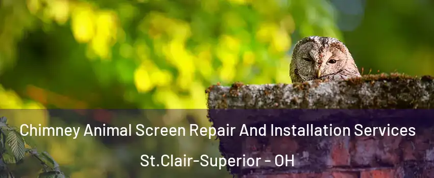 Chimney Animal Screen Repair And Installation Services St.Clair-Superior - OH