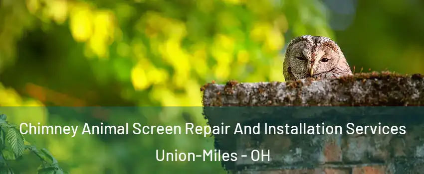 Chimney Animal Screen Repair And Installation Services Union-Miles - OH