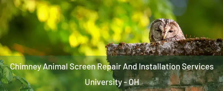 Chimney Animal Screen Repair And Installation Services University - OH