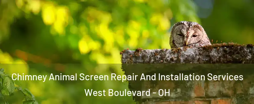Chimney Animal Screen Repair And Installation Services West Boulevard - OH