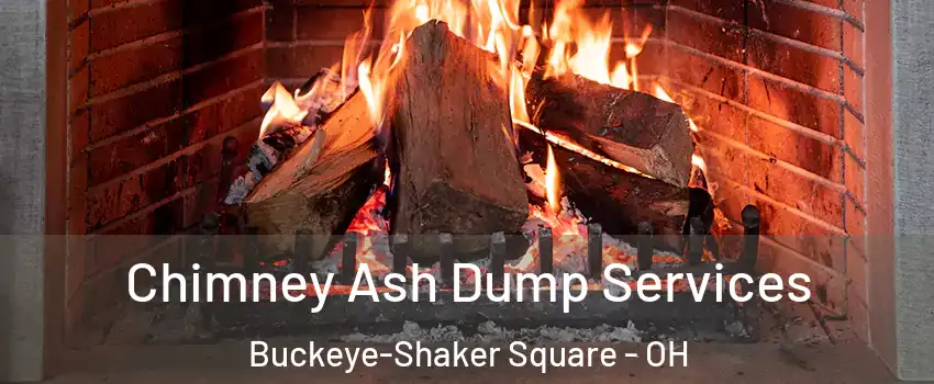 Chimney Ash Dump Services Buckeye-Shaker Square - OH