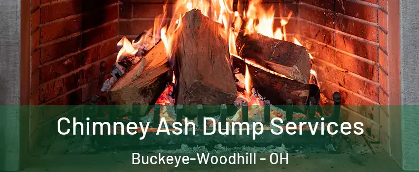 Chimney Ash Dump Services Buckeye-Woodhill - OH