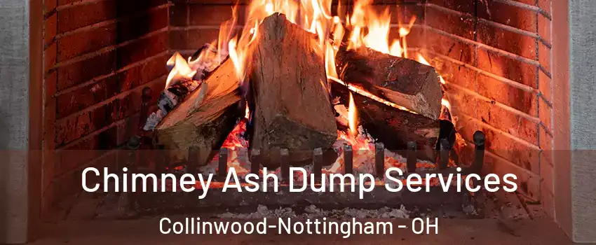 Chimney Ash Dump Services Collinwood-Nottingham - OH