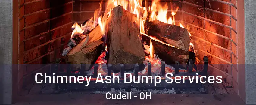 Chimney Ash Dump Services Cudell - OH