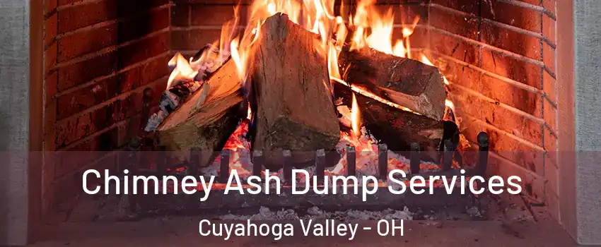 Chimney Ash Dump Services Cuyahoga Valley - OH