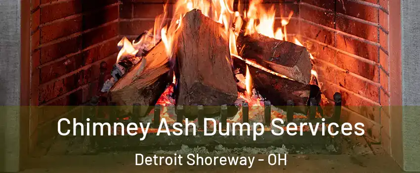 Chimney Ash Dump Services Detroit Shoreway - OH