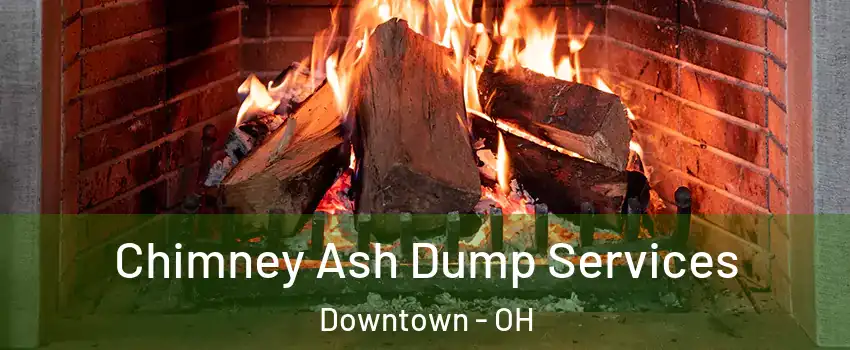 Chimney Ash Dump Services Downtown - OH