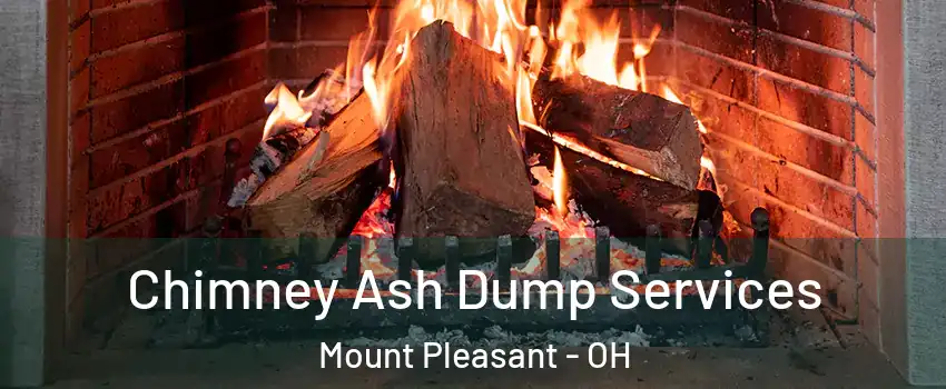 Chimney Ash Dump Services Mount Pleasant - OH