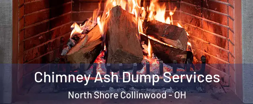 Chimney Ash Dump Services North Shore Collinwood - OH