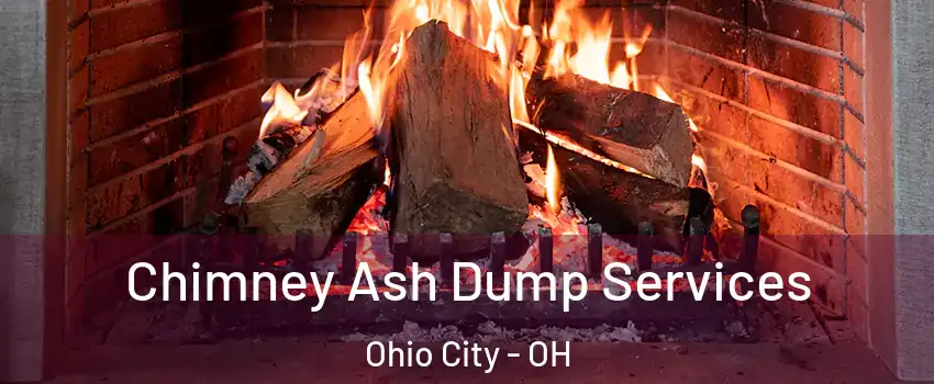 Chimney Ash Dump Services Ohio City - OH
