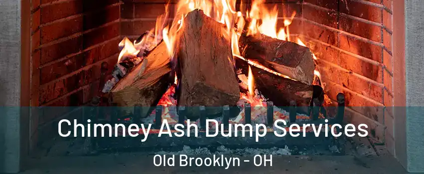Chimney Ash Dump Services Old Brooklyn - OH