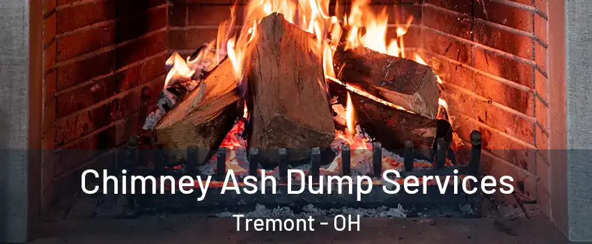 Chimney Ash Dump Services Tremont - OH
