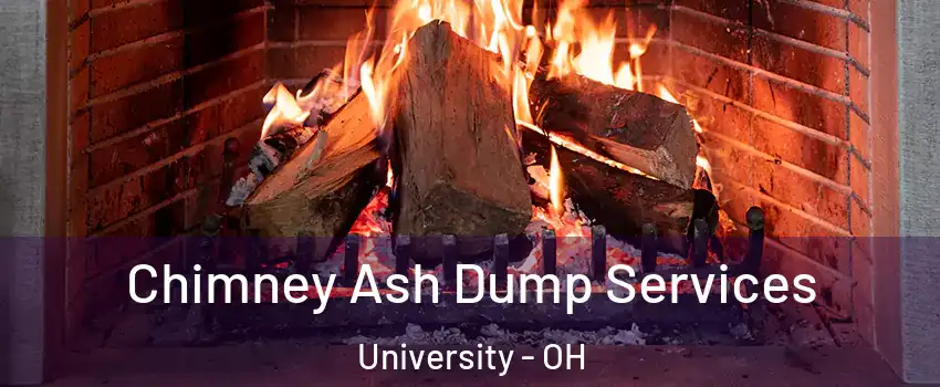 Chimney Ash Dump Services University - OH