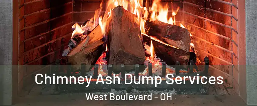 Chimney Ash Dump Services West Boulevard - OH