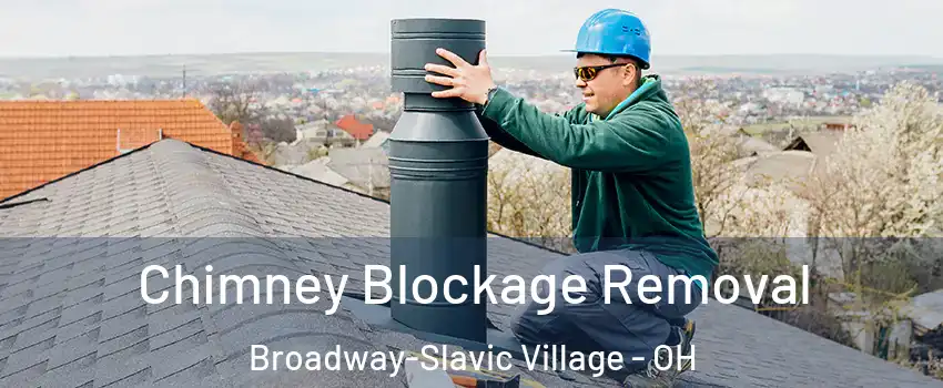 Chimney Blockage Removal Broadway-Slavic Village - OH