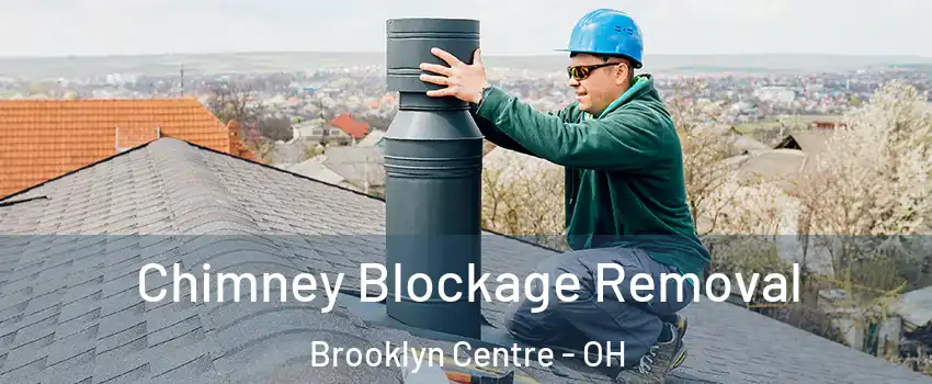 Chimney Blockage Removal Brooklyn Centre - OH
