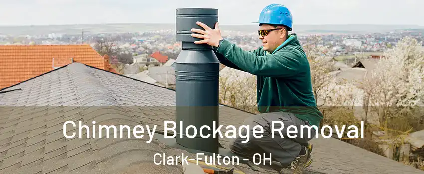 Chimney Blockage Removal Clark-Fulton - OH