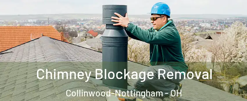 Chimney Blockage Removal Collinwood-Nottingham - OH