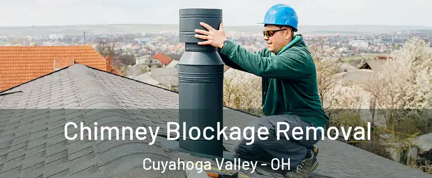 Chimney Blockage Removal Cuyahoga Valley - OH