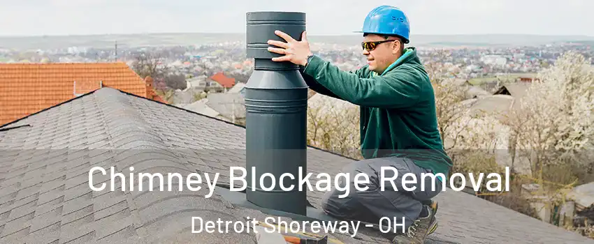 Chimney Blockage Removal Detroit Shoreway - OH