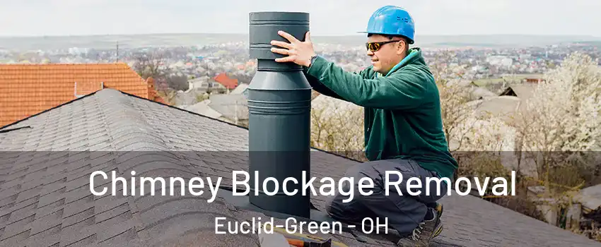 Chimney Blockage Removal Euclid-Green - OH