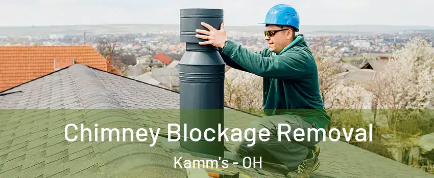 Chimney Blockage Removal Kamm's - OH