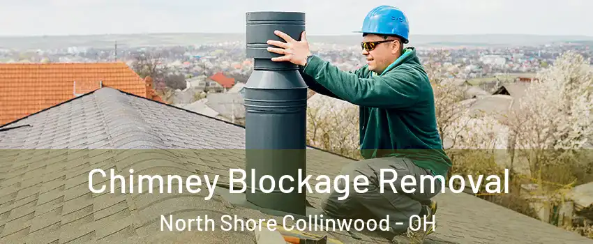 Chimney Blockage Removal North Shore Collinwood - OH