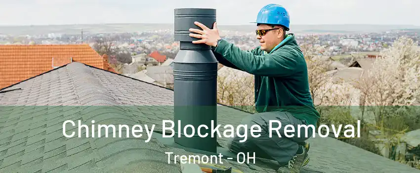 Chimney Blockage Removal Tremont - OH