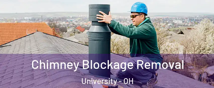 Chimney Blockage Removal University - OH