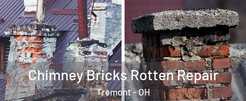 Chimney Bricks Rotten Repair Tremont - OH