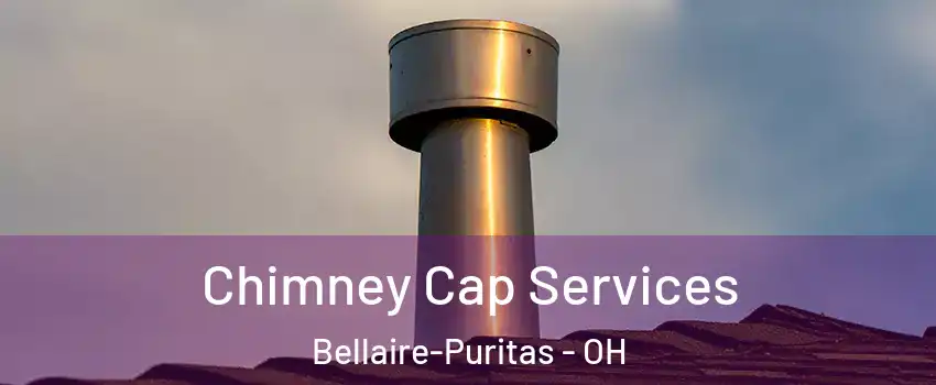 Chimney Cap Services Bellaire-Puritas - OH