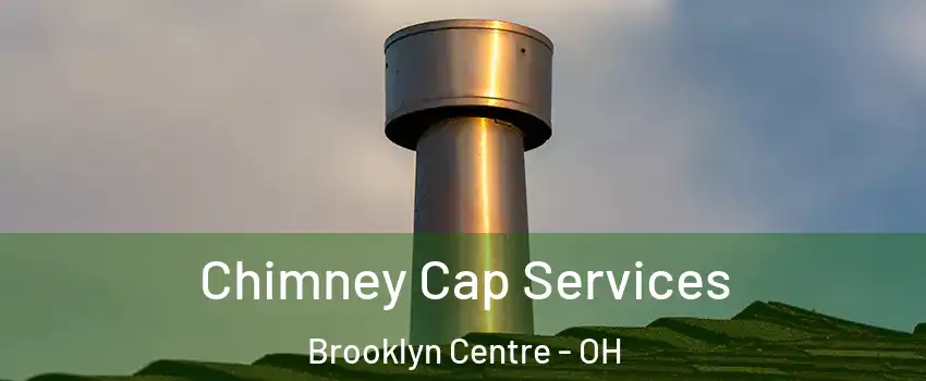 Chimney Cap Services Brooklyn Centre - OH
