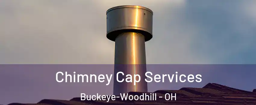 Chimney Cap Services Buckeye-Woodhill - OH