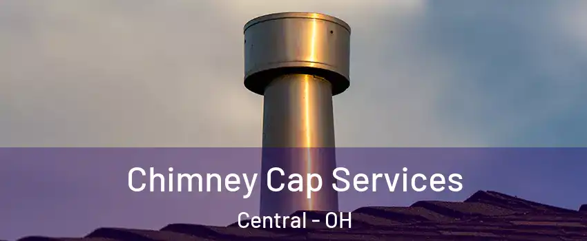 Chimney Cap Services Central - OH